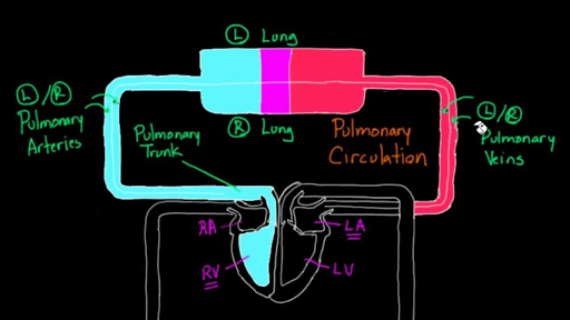 khan academy biology class 10