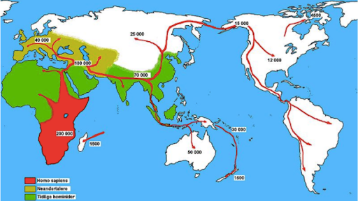 World Map 70000 Years Ago First Humans: Homo Sapiens & Early Human Migration (Article) | Khan Academy