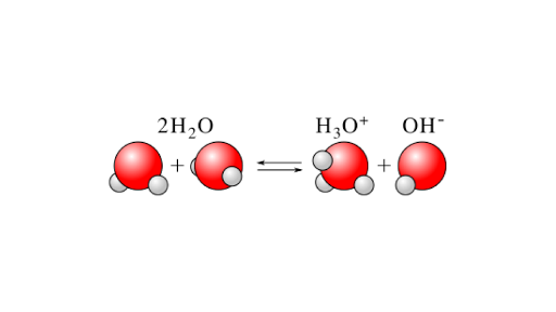 Water Autoionization And Kw Article Khan Academy