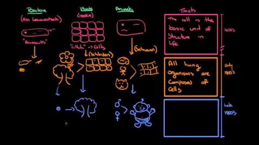 history of the formulation of cell theory