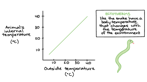 environmental temperature control