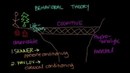 behavioral theory