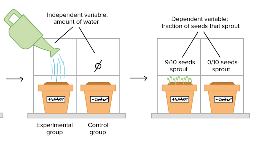 Scientific experiments examples