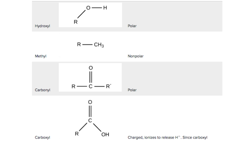 Functional Groups Carbon Biology Article Khan Academy