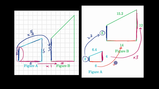 Scale OR - medical grade video scaling