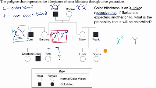 Pedigrees Practice Classical Genetics Khan Academy