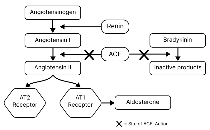 Ace Message System