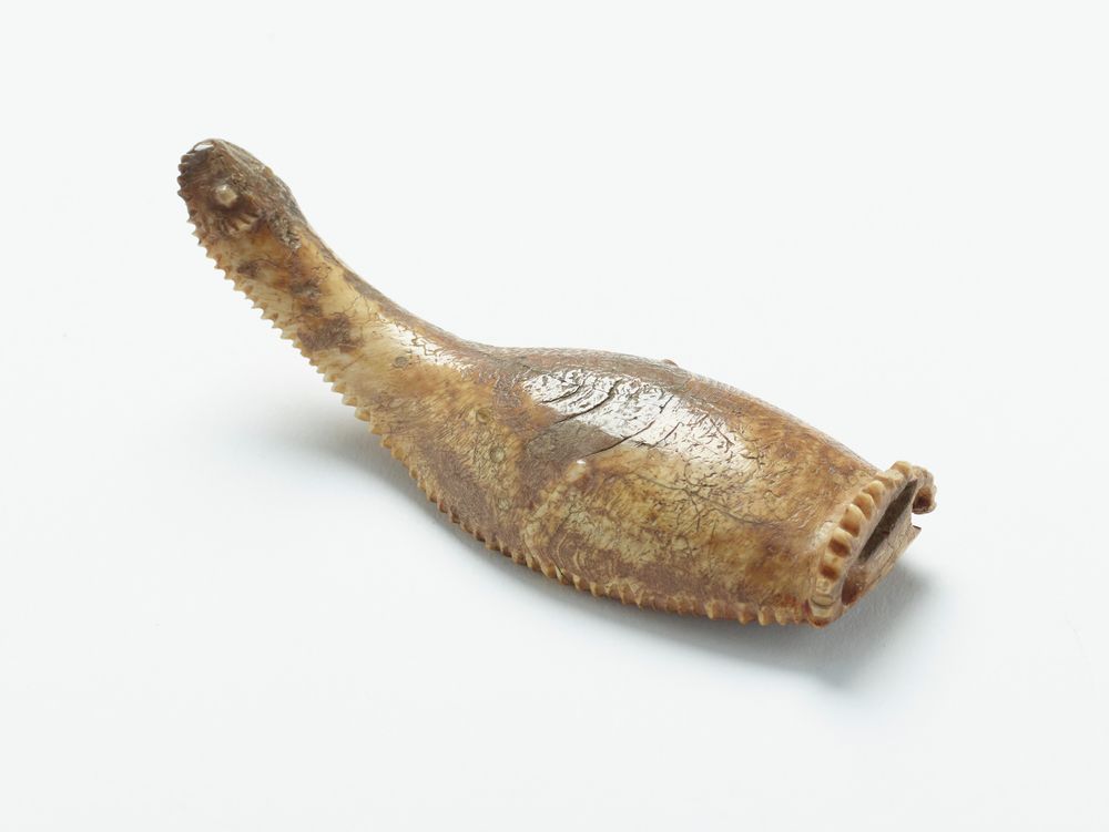 WHALE(TAIRYO) Māori whale ivory and bone adornment (article