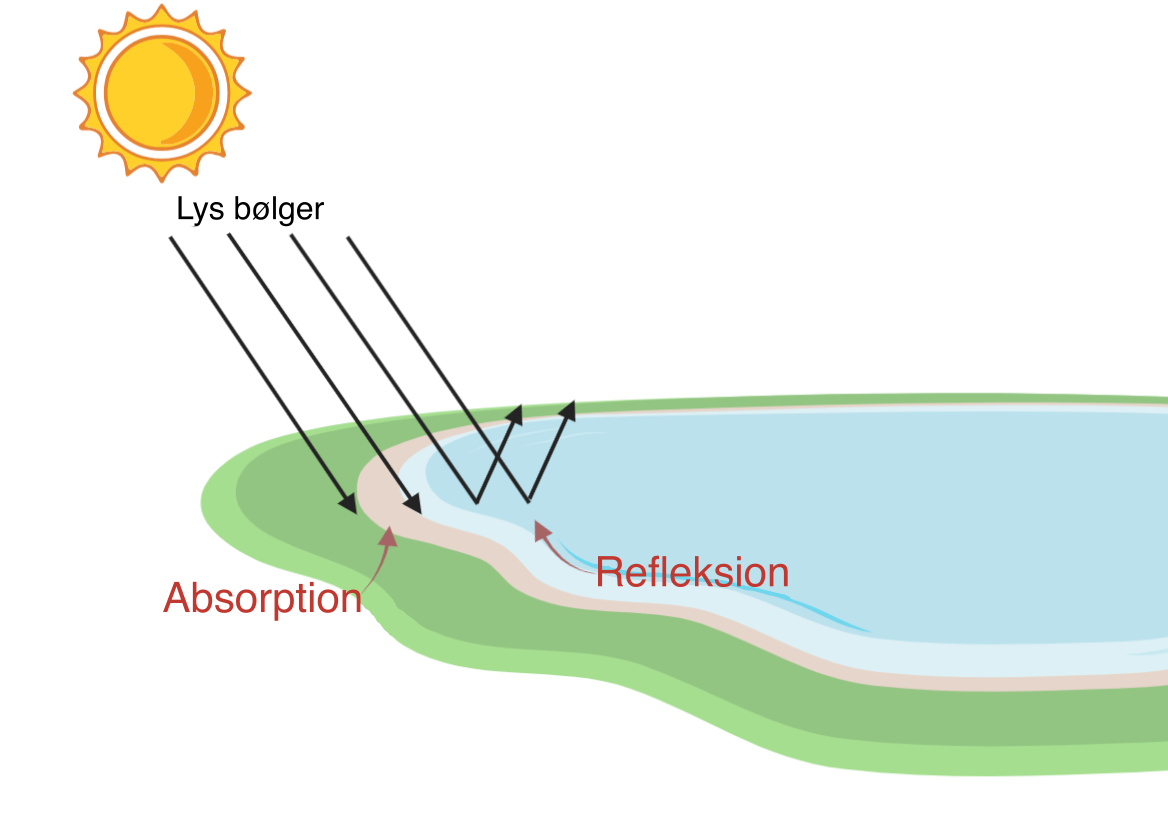 Absorption og refleksion (artikel) | Bølger Academy