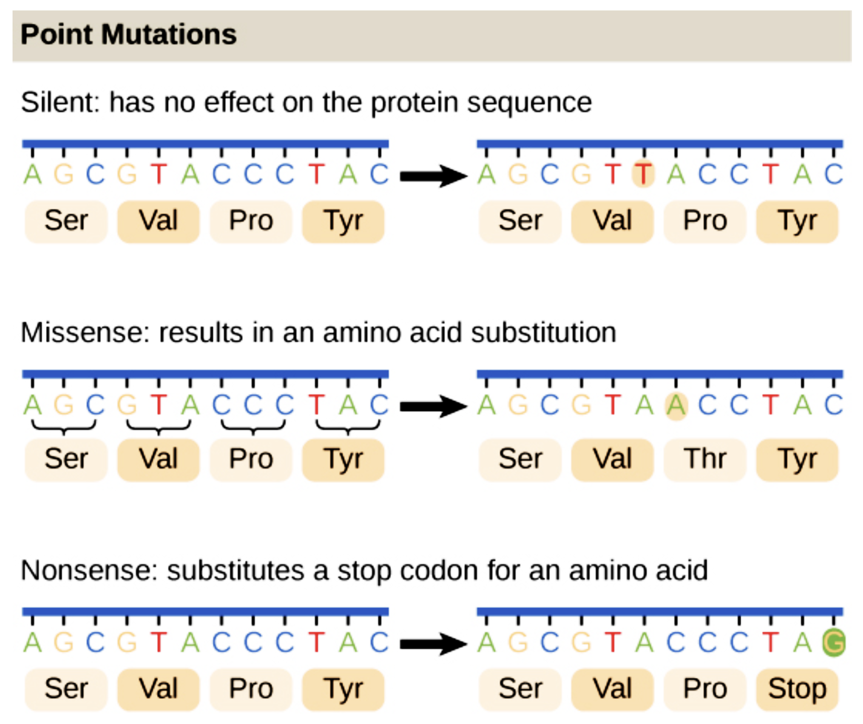 Mutation Types Mutation Types