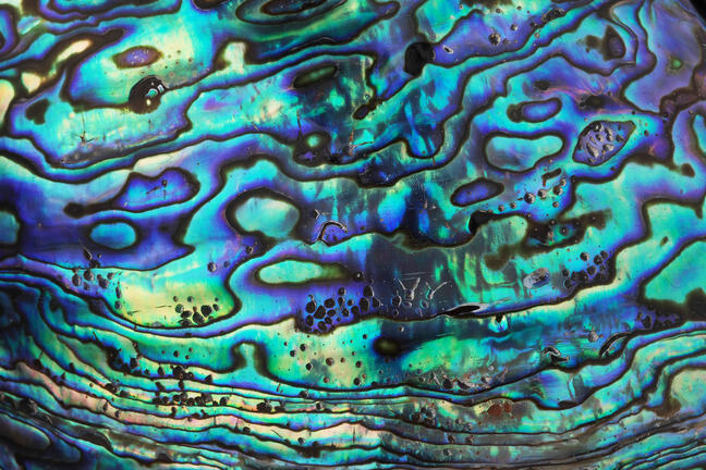 Paua Color Khan Academy