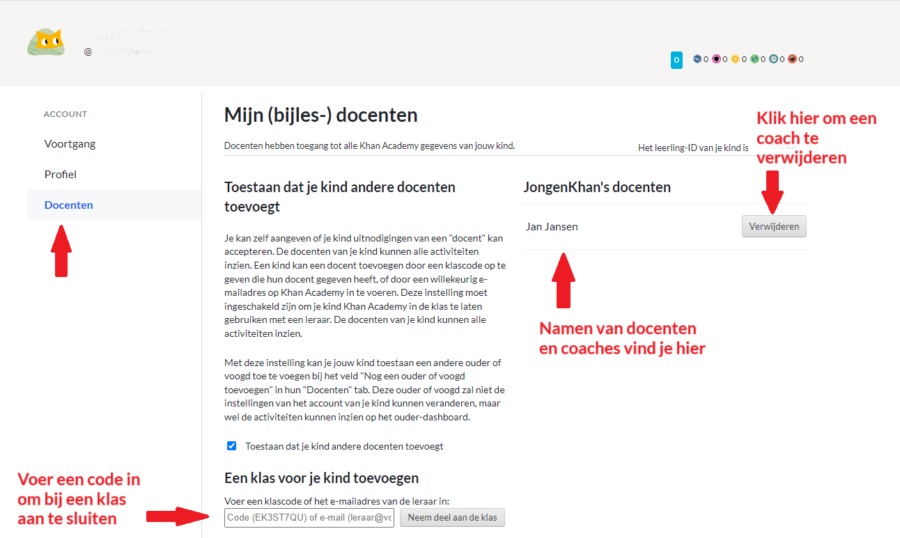 Mijn (bijles-) docenten