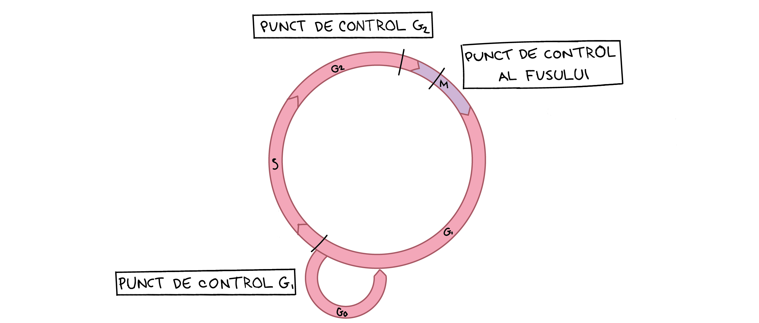 Khan Academy