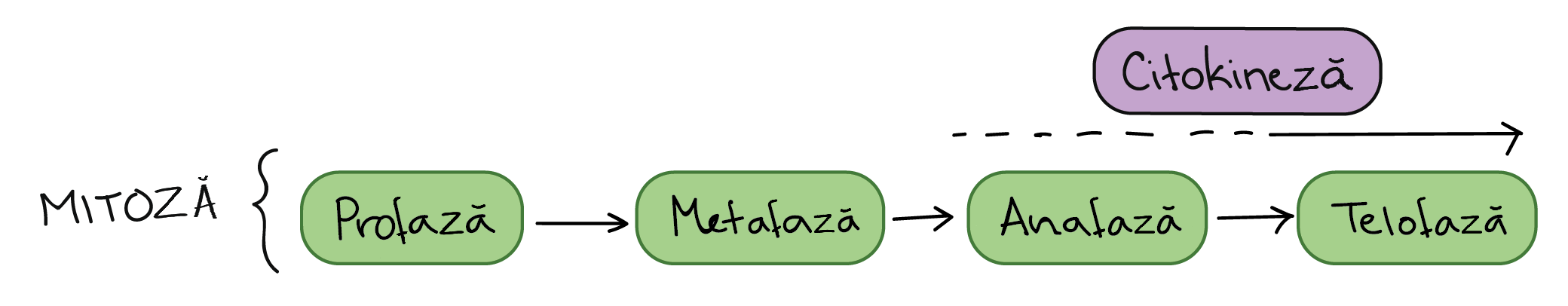 Metafaze Khan Academy