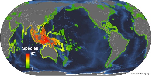 Fish Distribution Map Khan Academy