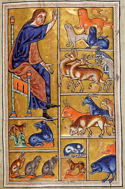 Field Guide Bestiary Khan Academy