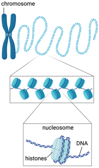 Khan Academy
