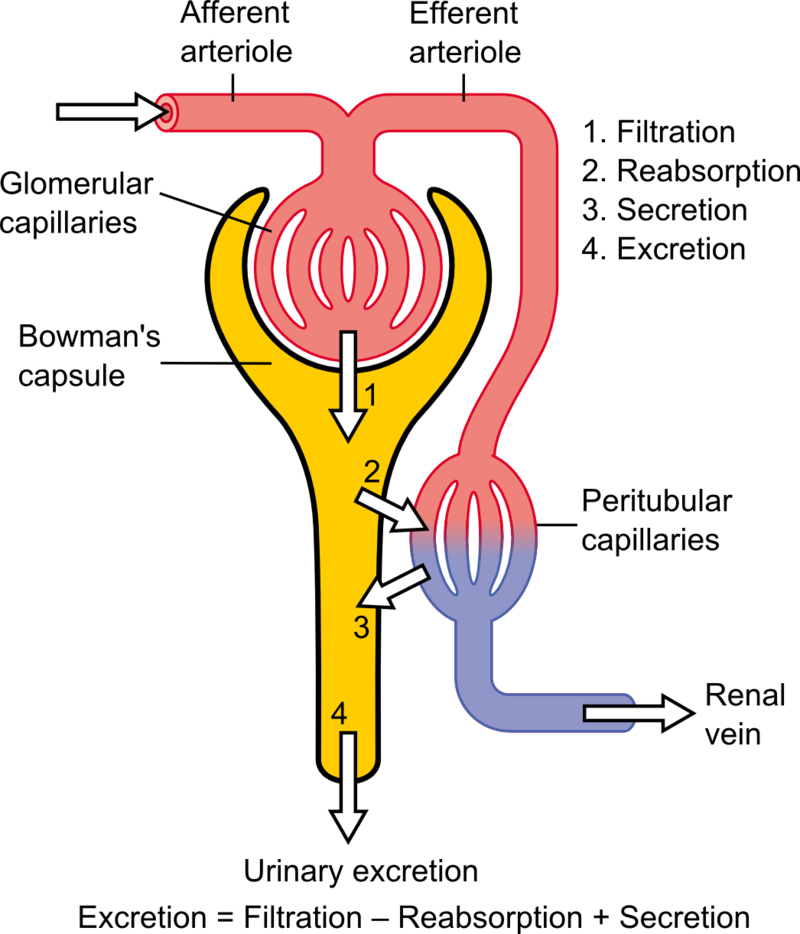 A22023C9C4Cb15E430452E112209Eae23Be954Ef