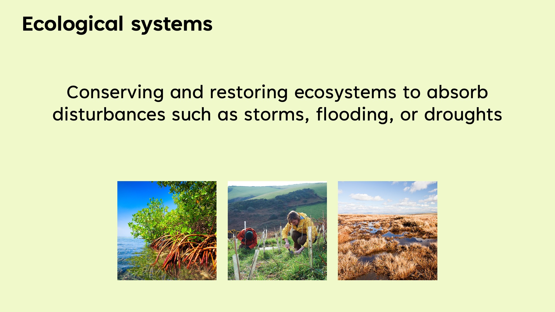 Unpacking Adaptation Areas (article) | Khan Academy