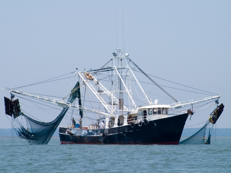 Commentary Fishing Example Khan Academy