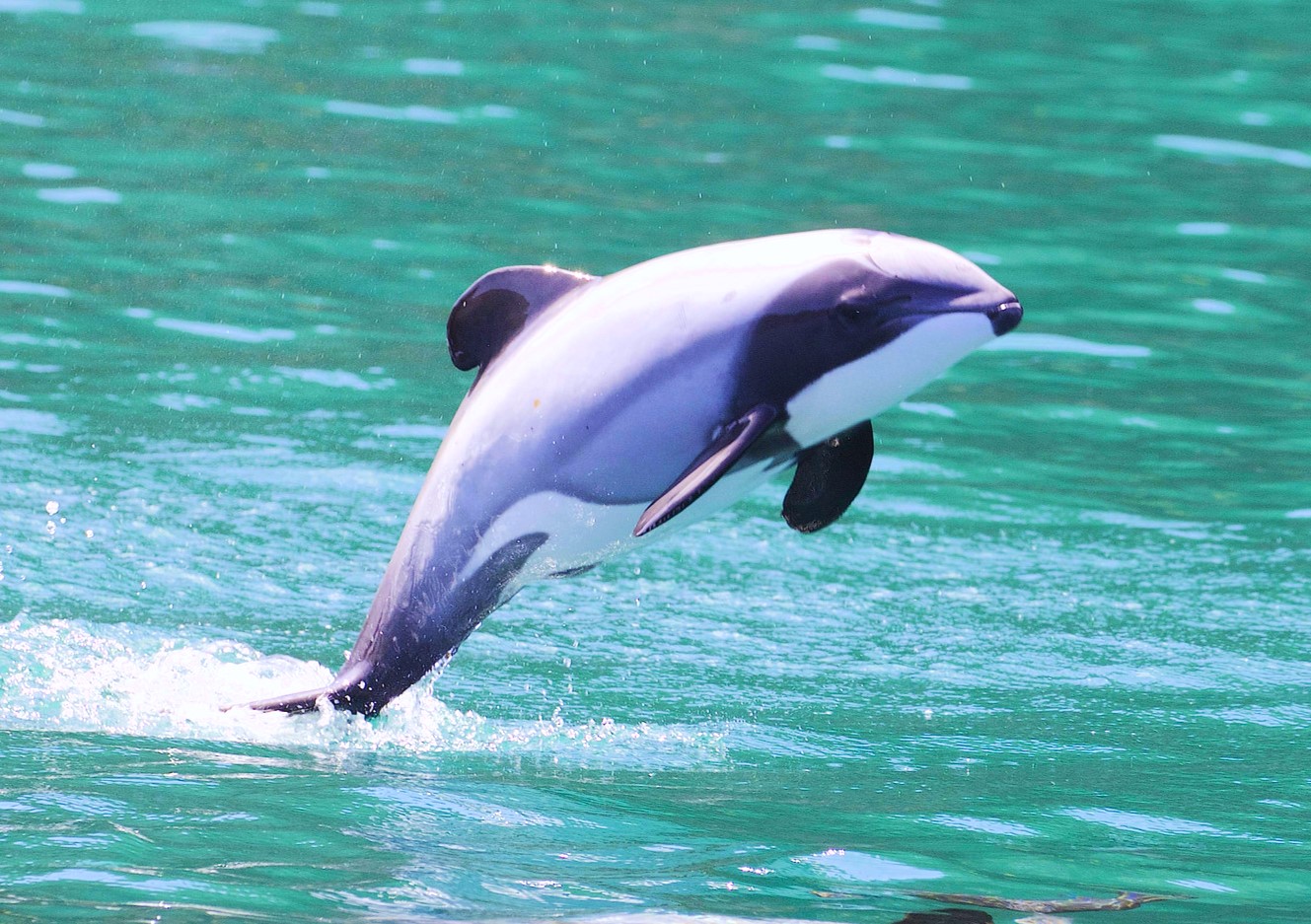 Lesson One introduction (article) | Khan Academy