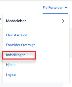 Settings_in_the_Nav_Menu.png