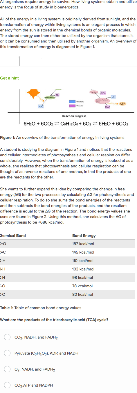 Free Energy Photosynthesis And Cellular Respiration Practice Khan Academy