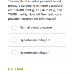 essay questions on hypertension