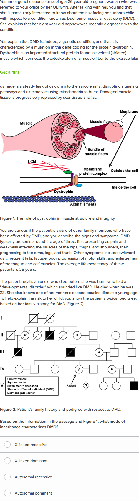 Muscular Dystrophy Pedigree Chart Answer Key