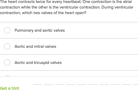 Essay questions on circulatory system