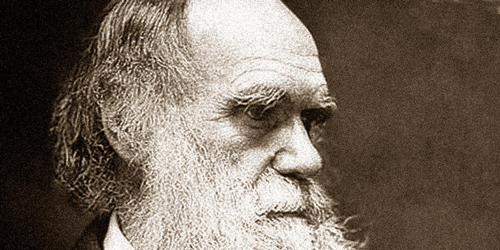 Theory of Evolution: Charles Darwin and Natural Selection - Earth How