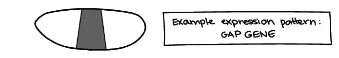 Khan Academy