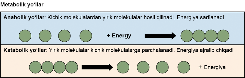 2 yoshli bola uchun toldirilgan kombinezon uchun toliq olchamli naqsh.