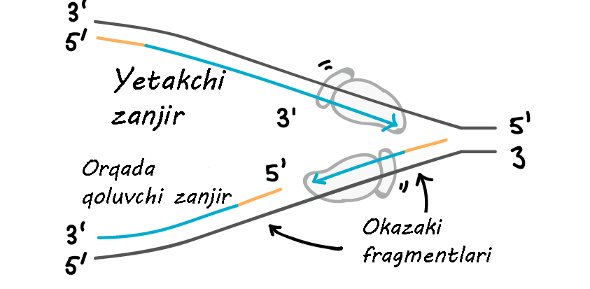 X Art Studio dan video