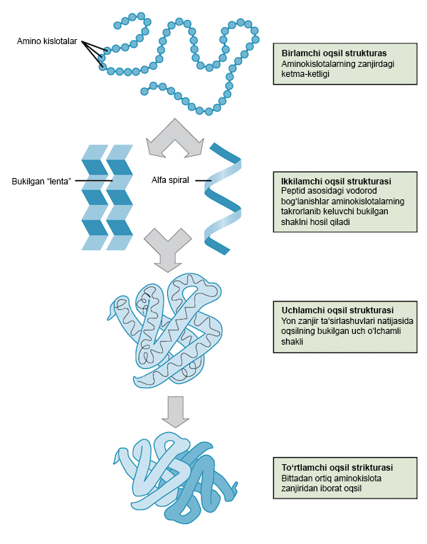 Yalangoch qizning shahar boylab yurishini tomosha qiling