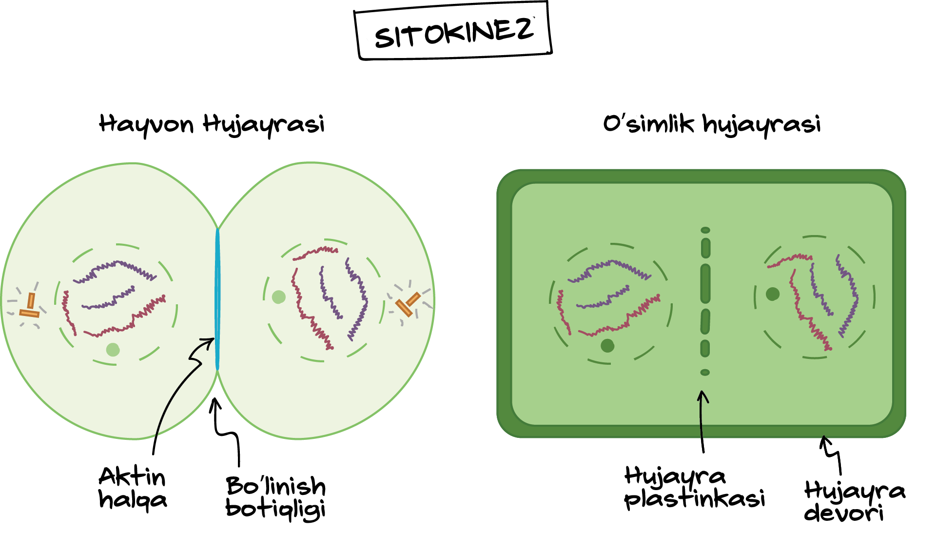 Keksa odamga oral seks berdi (porno onlayn)