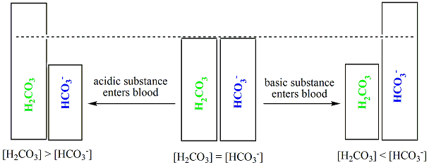 Buffer, pH control, acid-base balance, buffer solutions