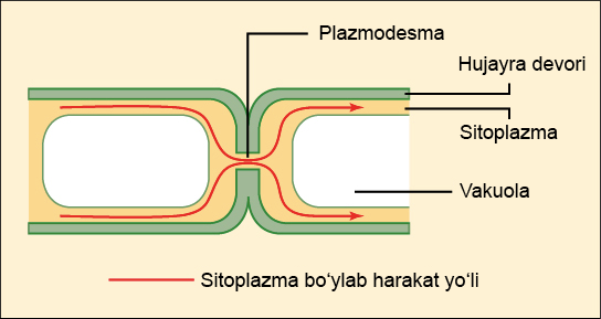 Gozal Brandi Love va uning eri ortasidagi yotoq aloqasi