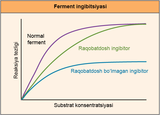 Veb-kamera oldida jonli jinsiy aloqa