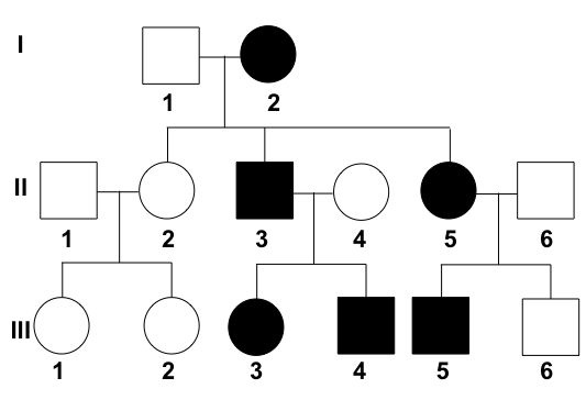 How To Read A Pedigree Chart