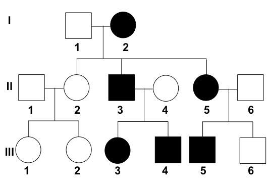 Three Generation Pedigree Chart