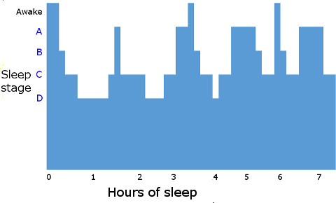 Stages Of Sleep Chart