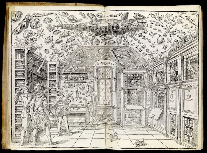 The Medici collect the Americas (article) | Khan Academy
