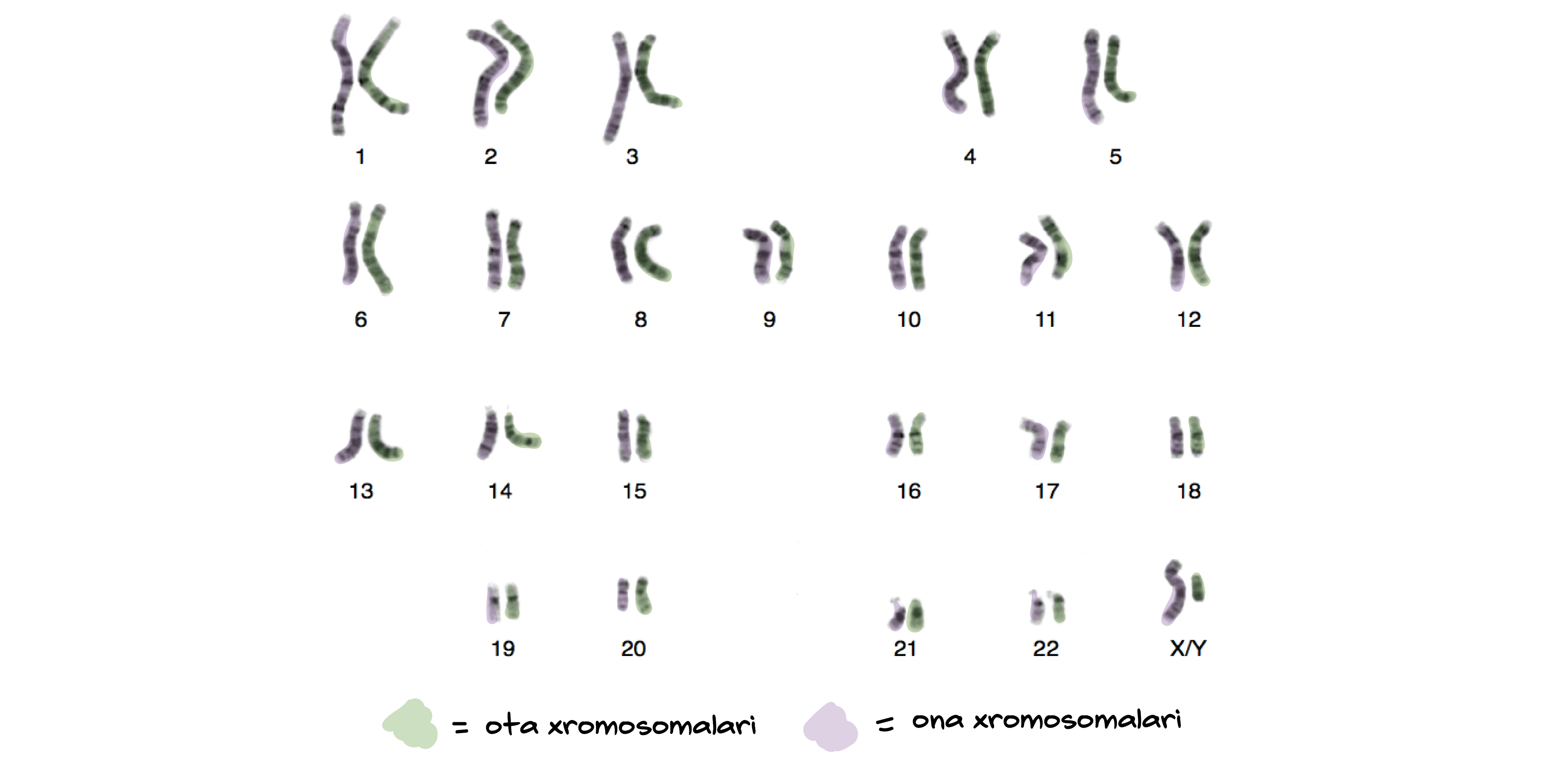 Ulyanovskda eskort jinsiy aloqa