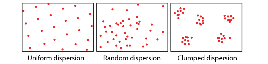 Population Dispersion Is Best Described As Justus has Wagner