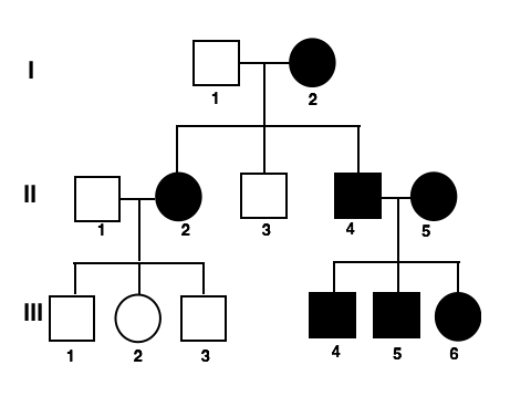 Pedigrees (practice) | Classical genetics | Khan Academy