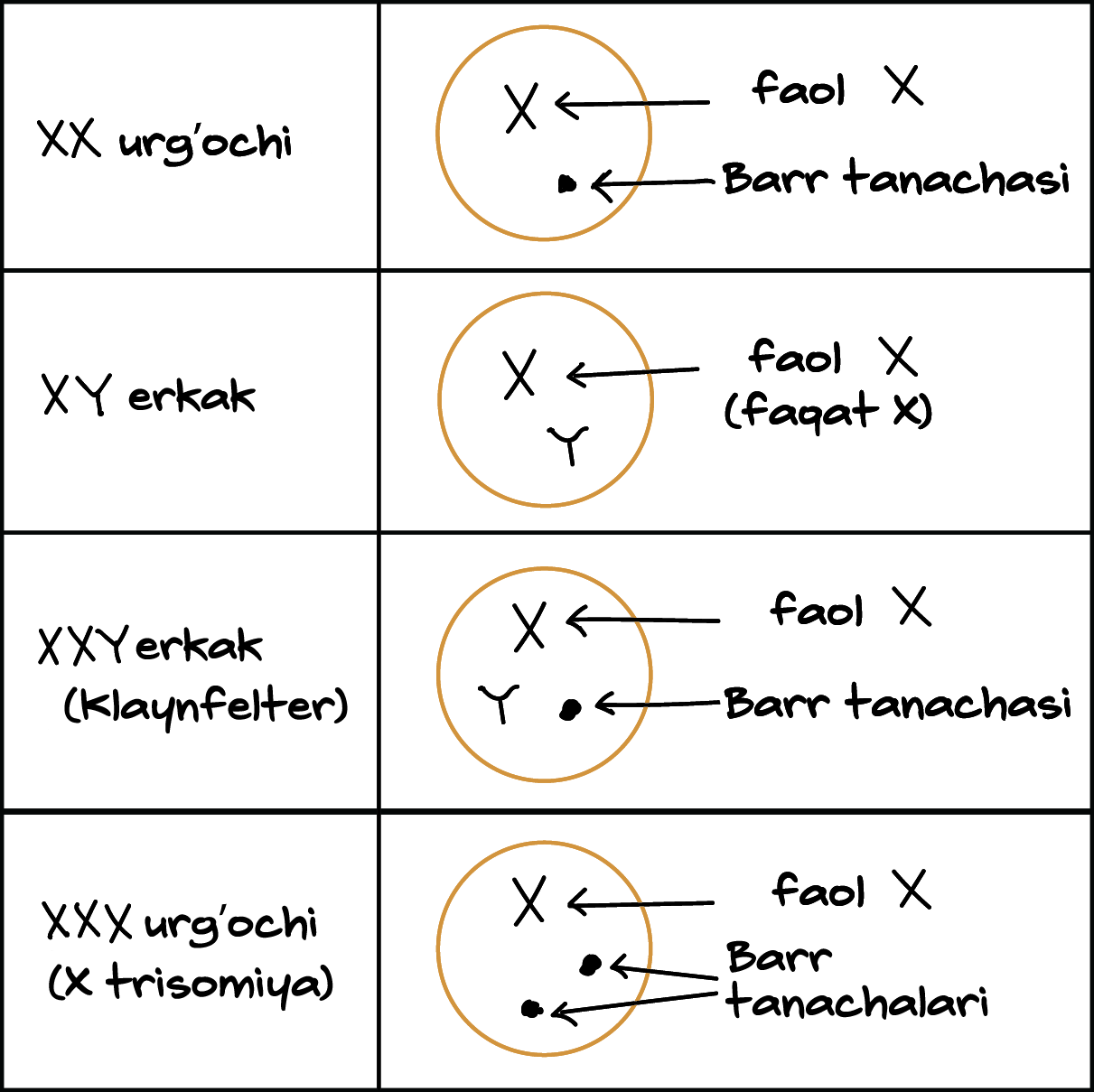 Jinsiy aloqa va Masai