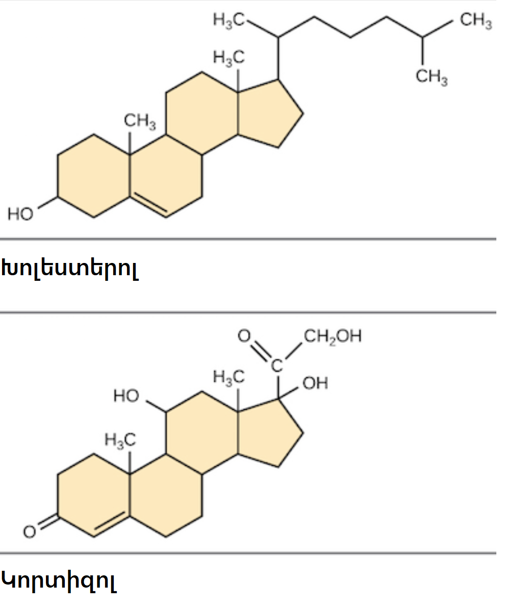 Холестерол. Кортизол холестерол. Холестерол 6.11. Cortisol structure.