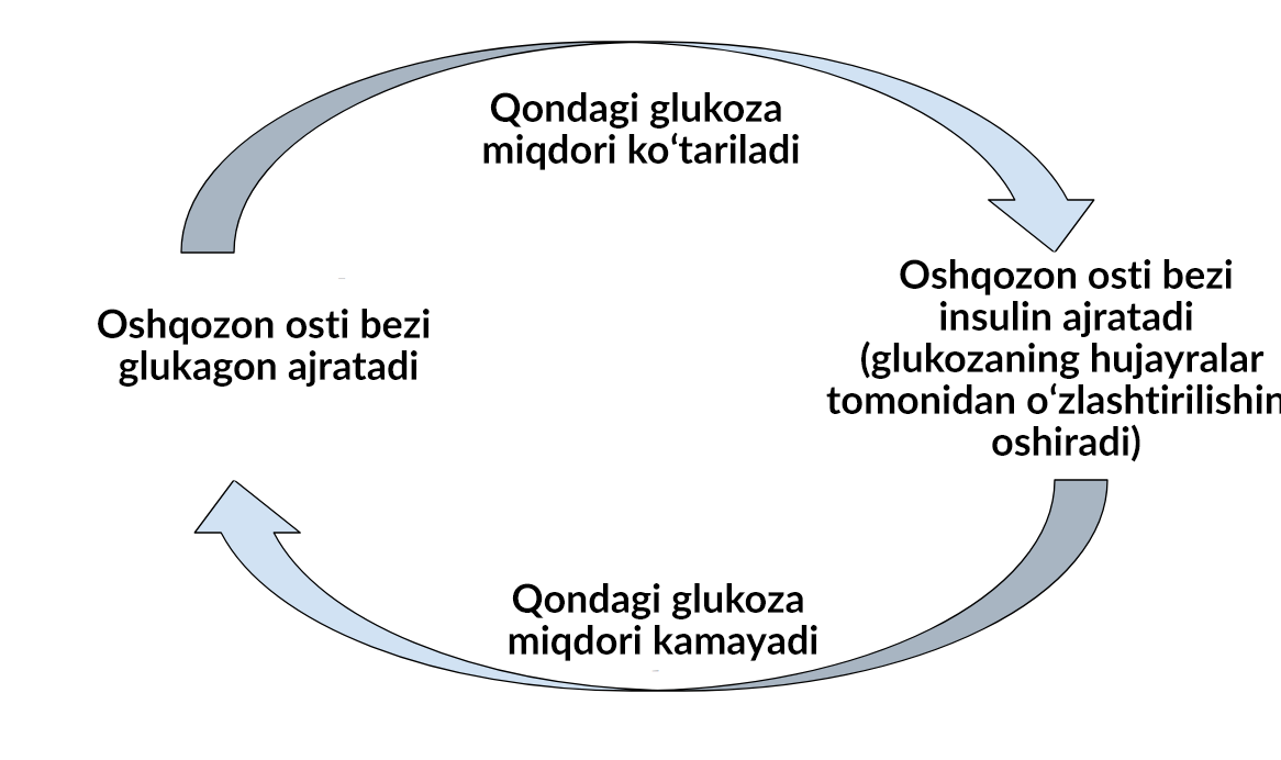 Ginekologik asboblar bilan jinsiy aloqa
