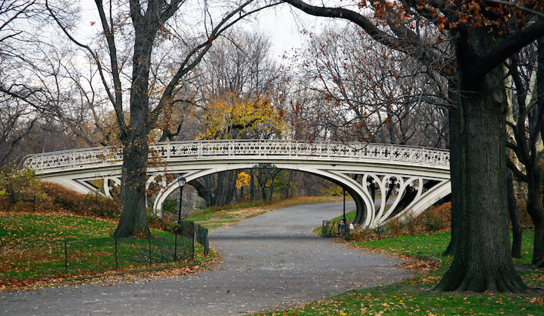 Calvert Vaux, Gothic Bridge, Central Park, New York City  (photo: Bryan Schorn, CC BY-SA 3.0)